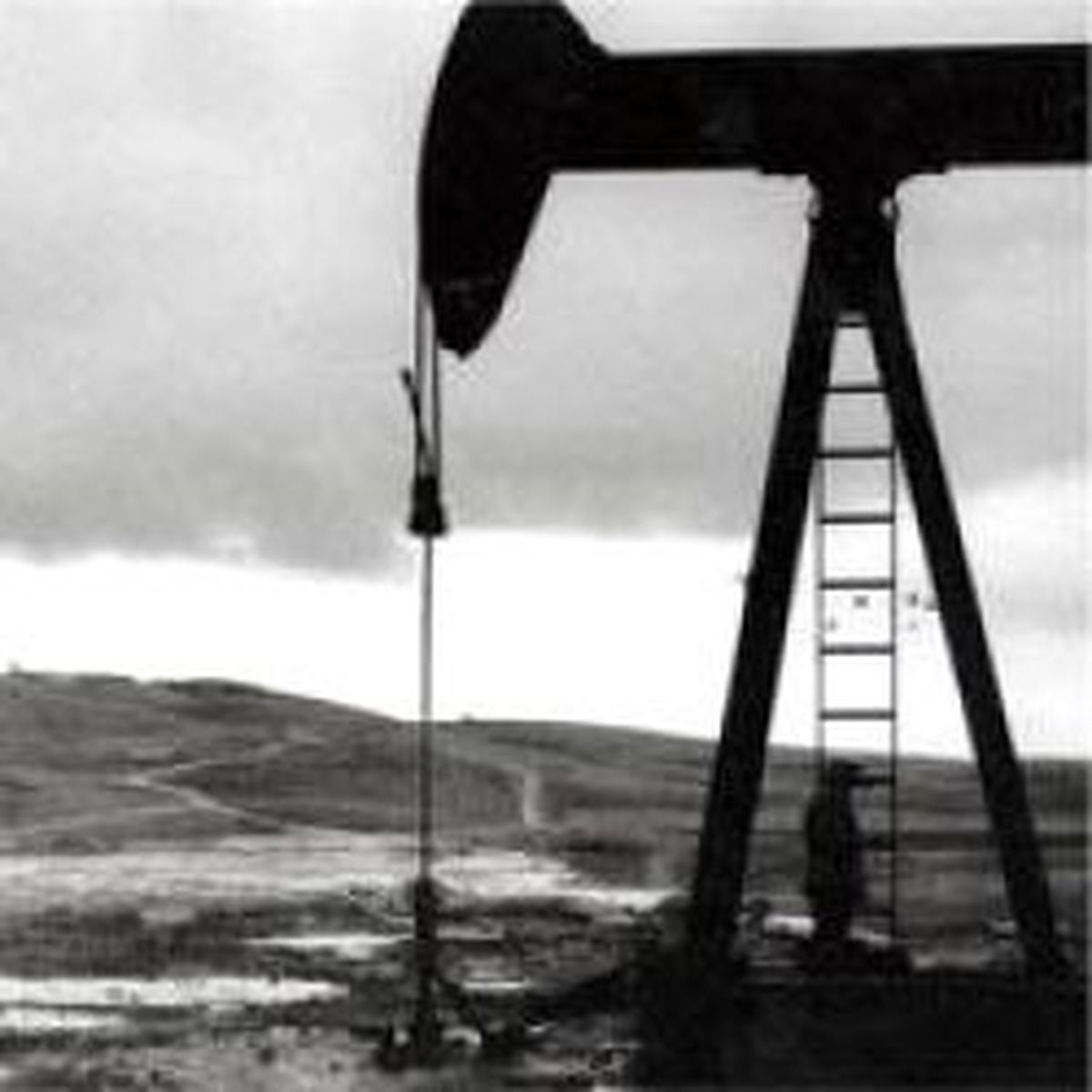 Petrol Fiyatları Dibe Vurdu