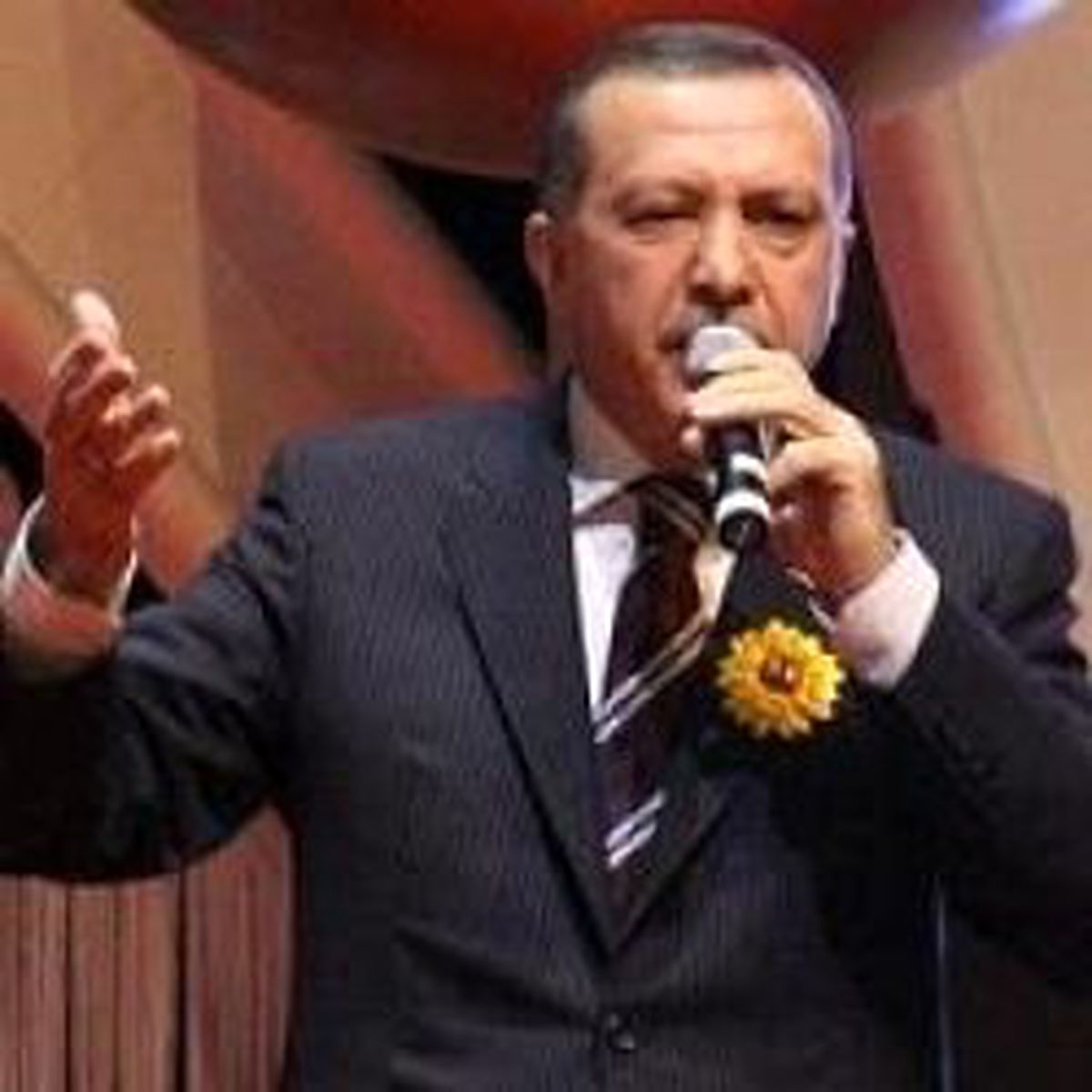 Erdoğan: Bir ve Bütün Olacağız