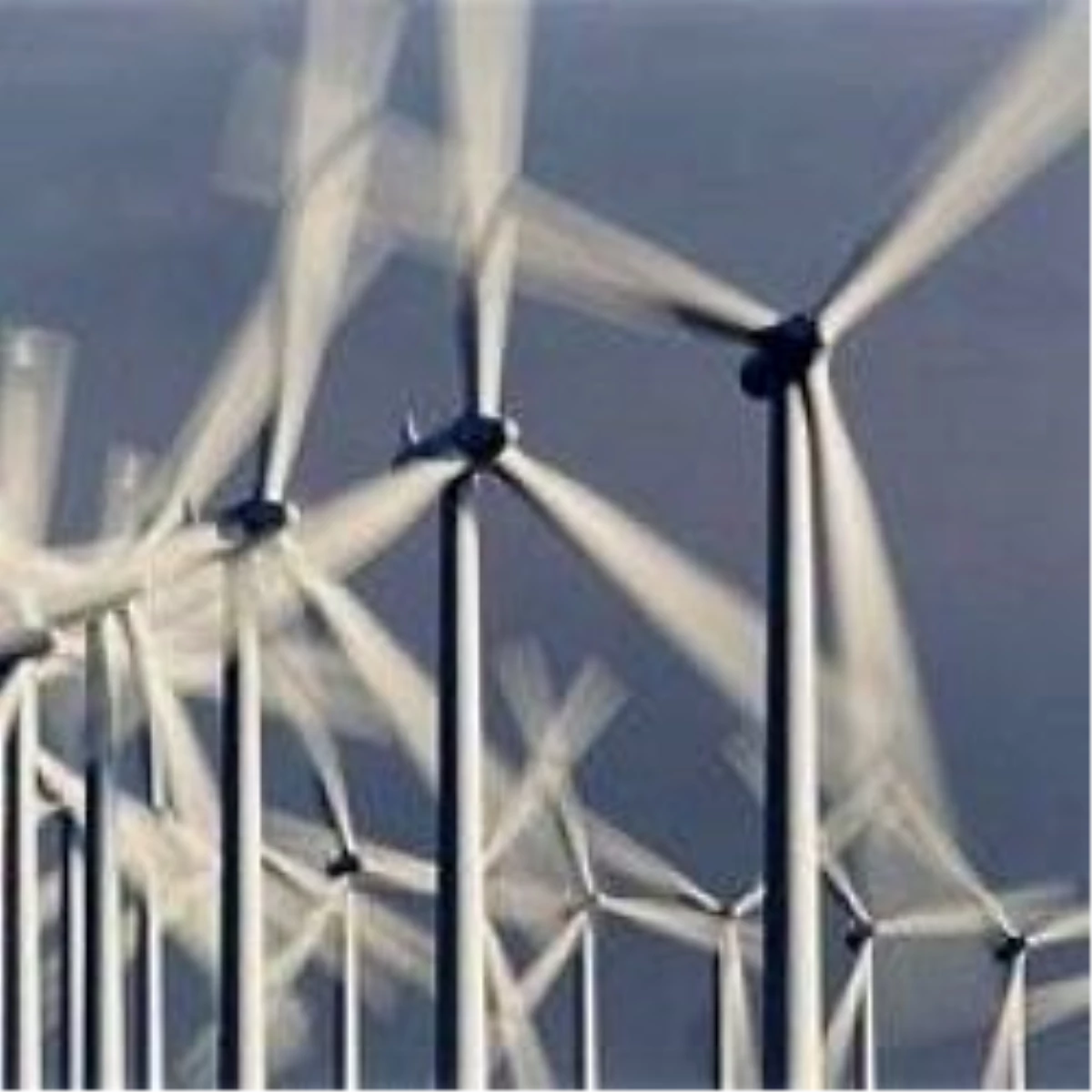 Rüzgar Enerjisi İhaleleri Başlıyor
