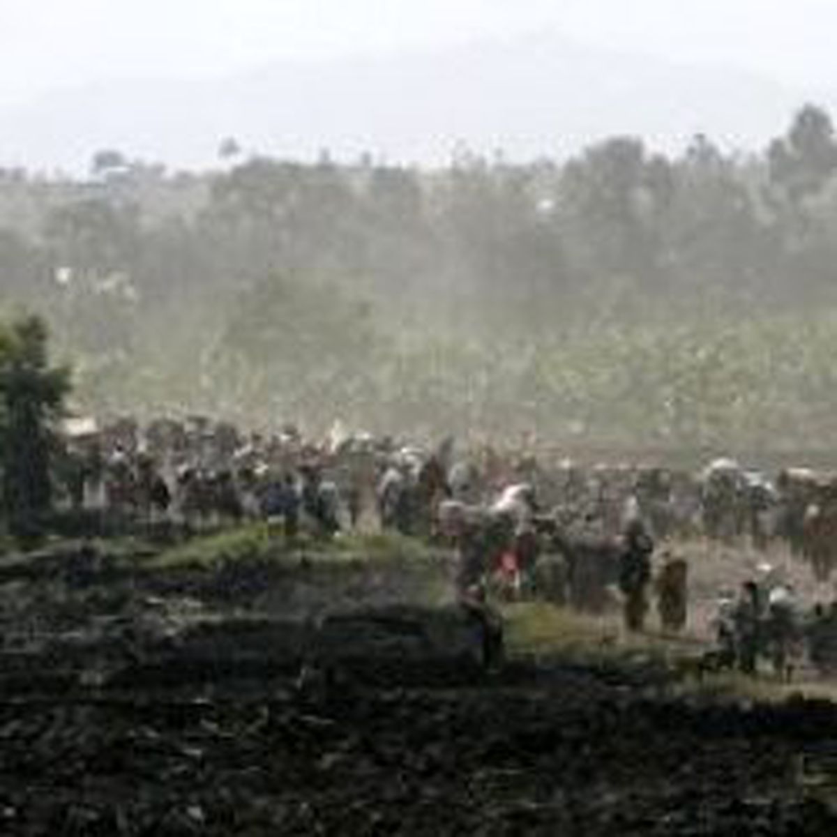 Afrika'da Korkutan Gelişme