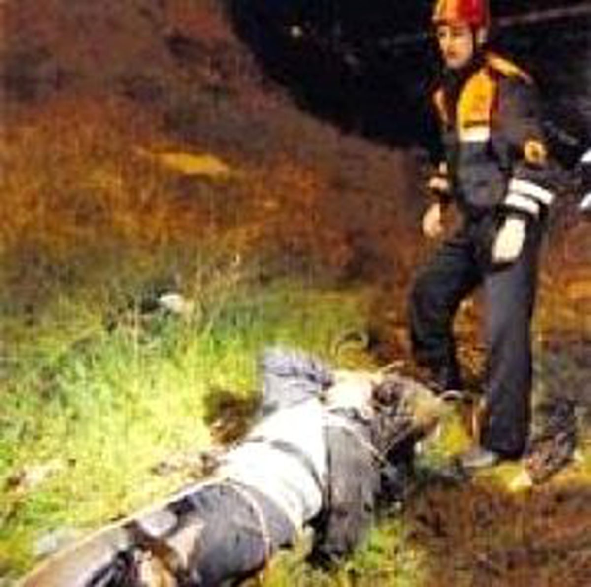 30 Metreden Mucize Kurtuluş