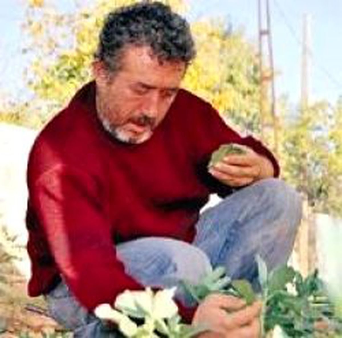 Tedavisi İçin Gereken Baklayı Kendisi Üretti