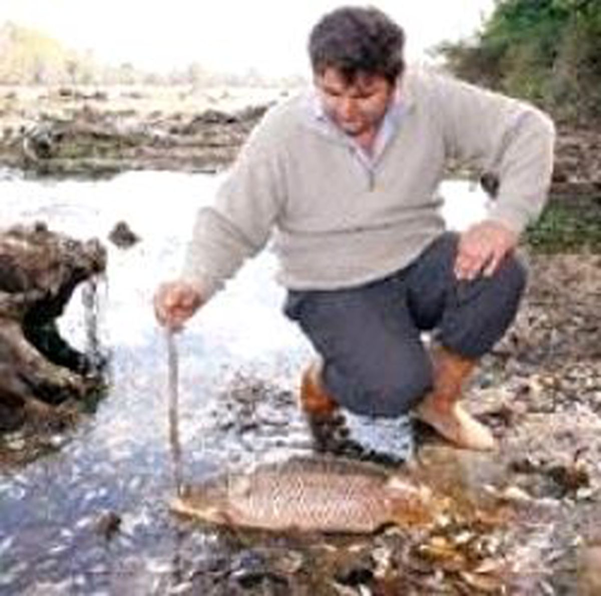 Yeşilırmak Ölüm Saçtı