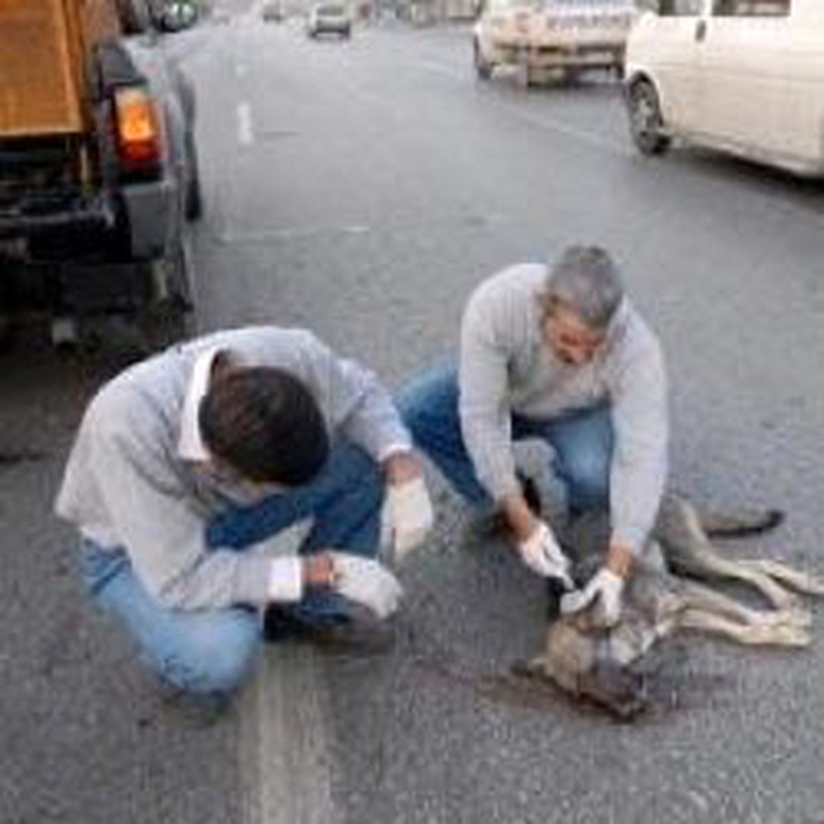 Denizli'de İnsanlık Dersi