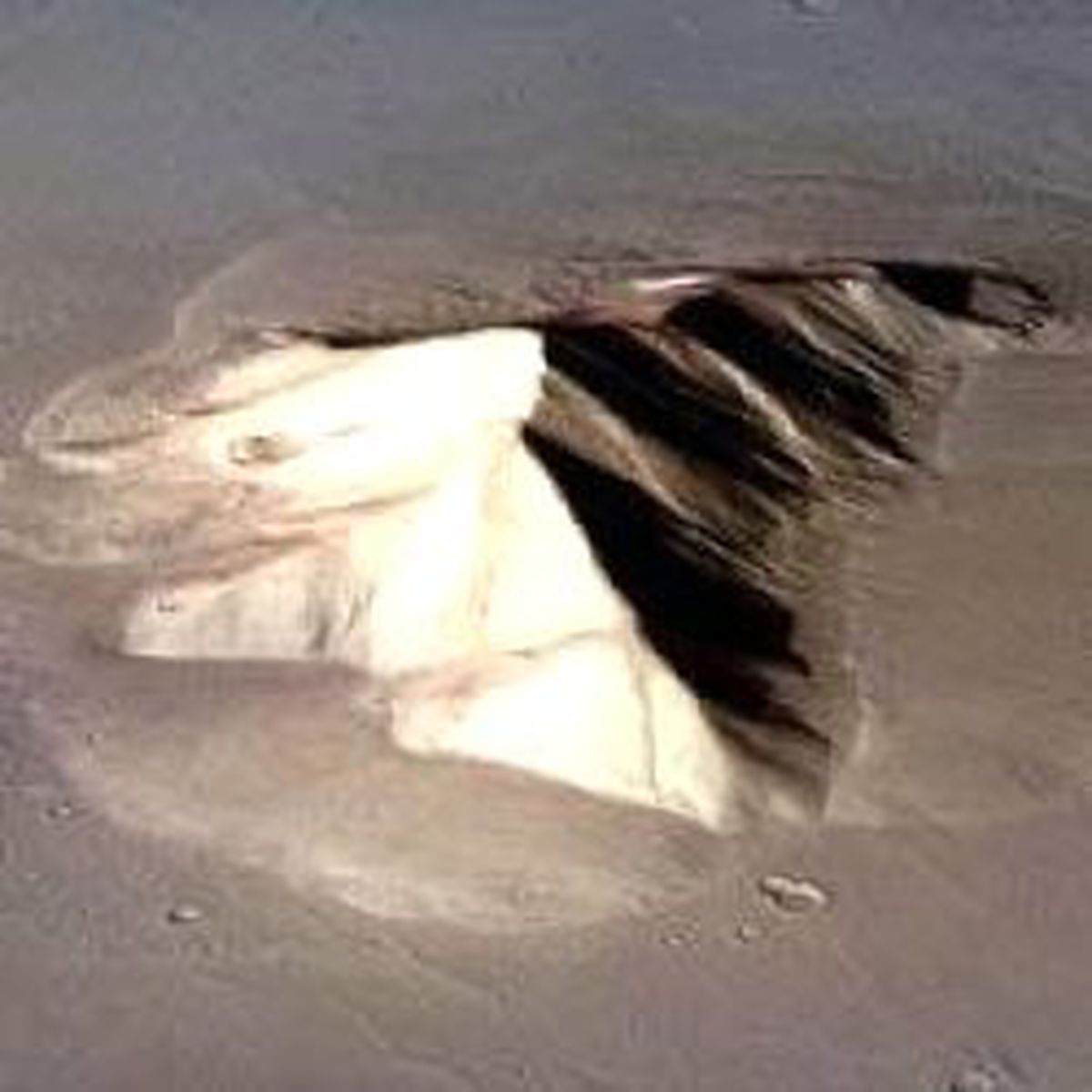 Mars Yine Heyecanlandırdı