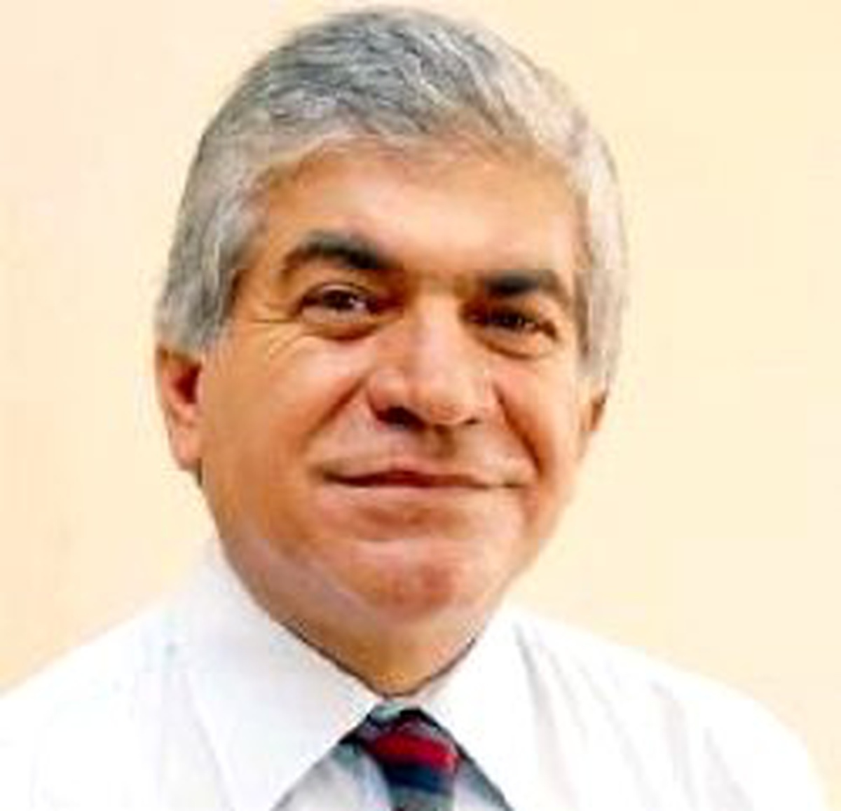 Meclis'e Meydan Okudu