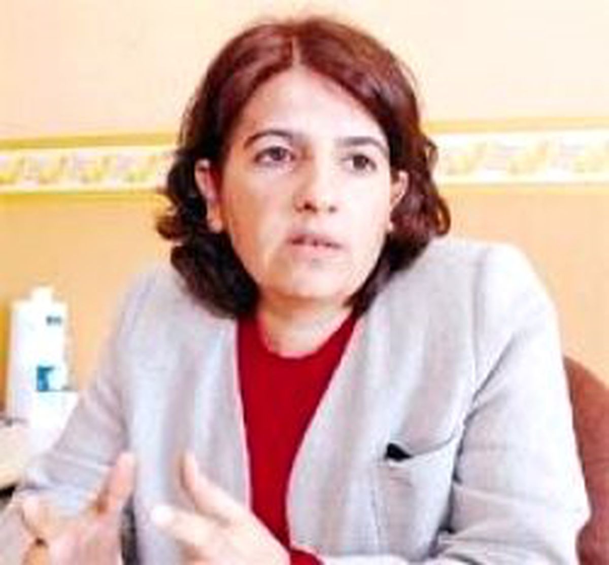 DTP: Polisin Silah Kullanımı Sınırlansın