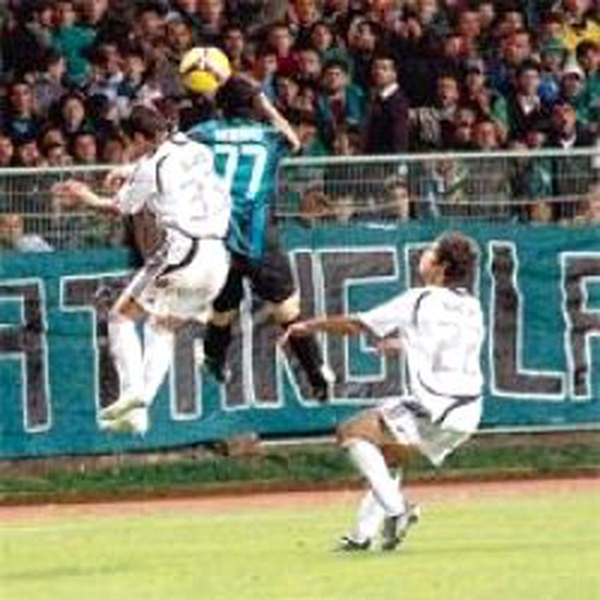 Altay, Sakarya\'da Küllerinden Doğdu