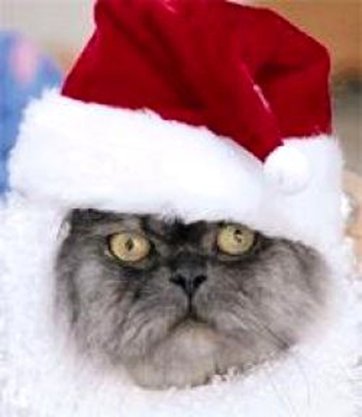 Onların da Noel'i Var