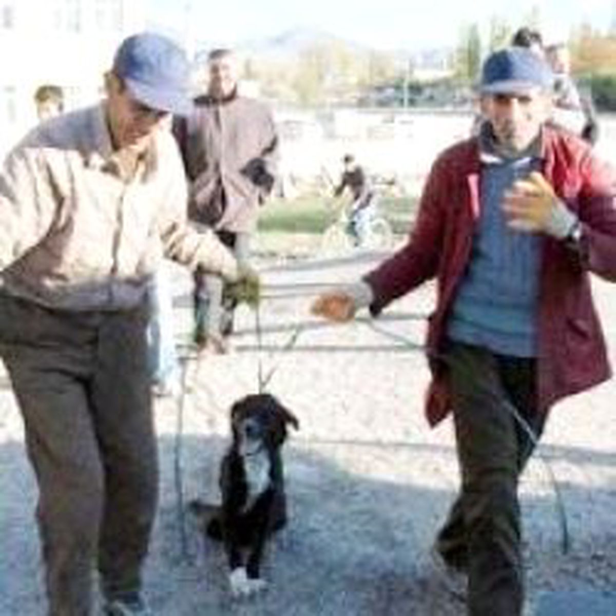 Vahşetin Sembölü Köpek Öldü