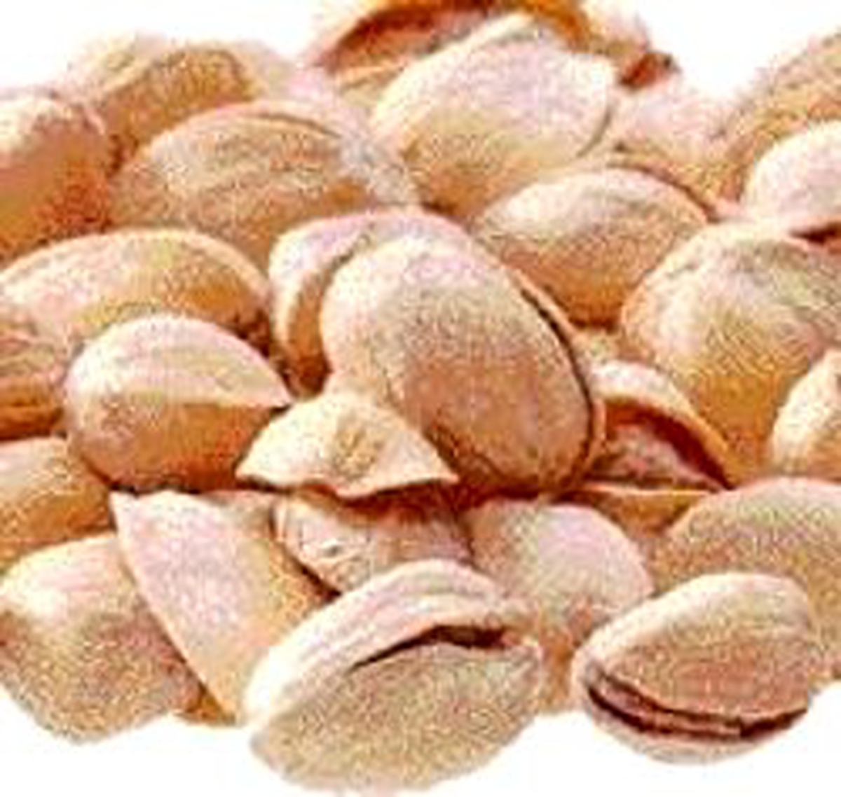 'Fıstık' Davası Sonuçlandı