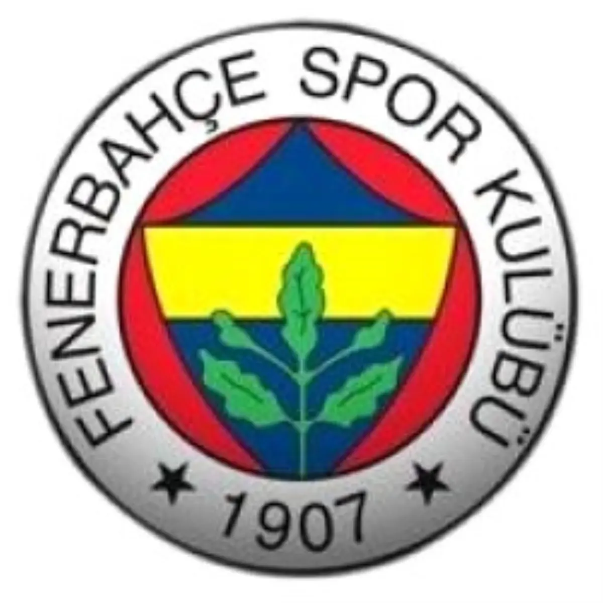 Fenerbahçe: 107 - Mutlu Akü: 78