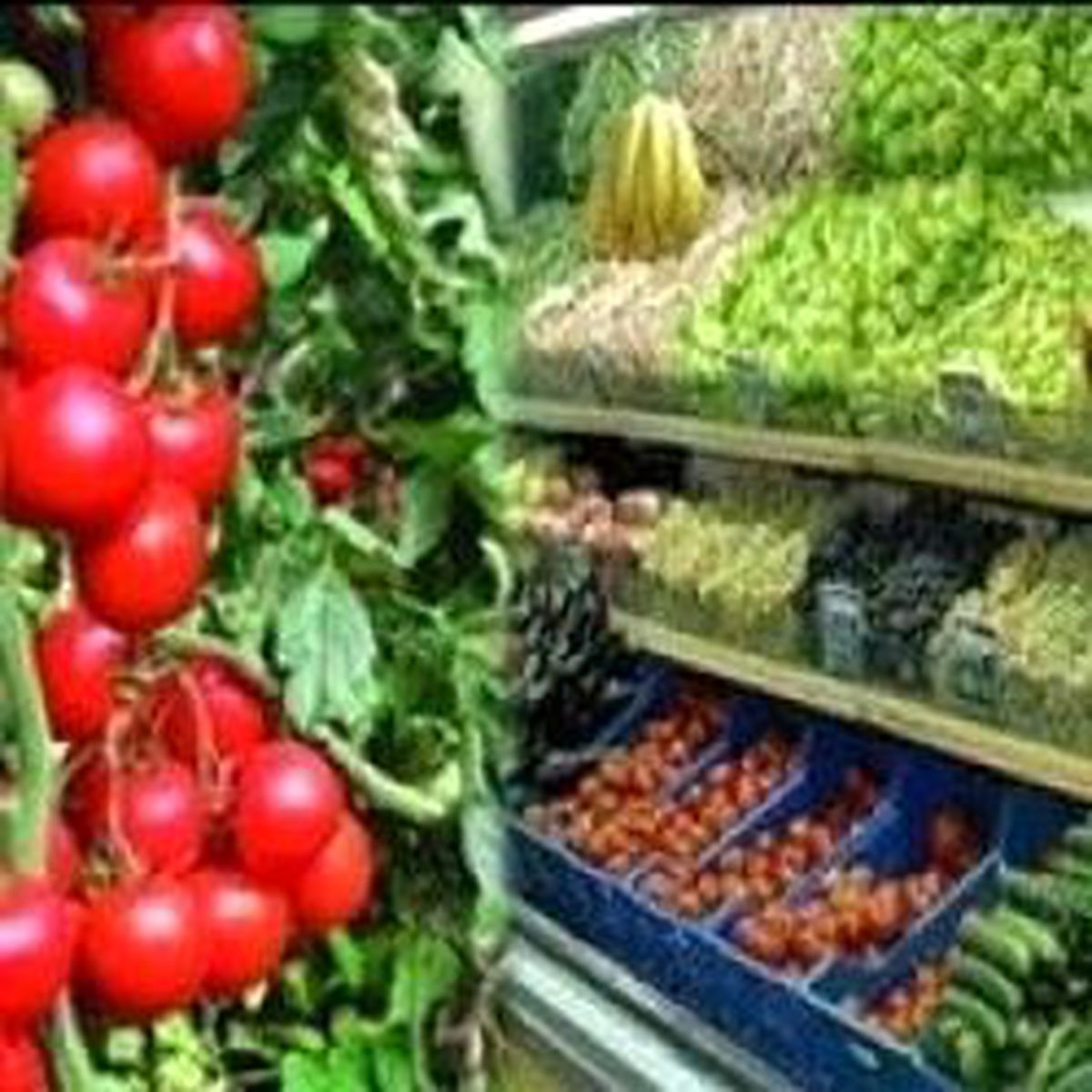 Üreticide Bir Lira, Markette Altı Lira