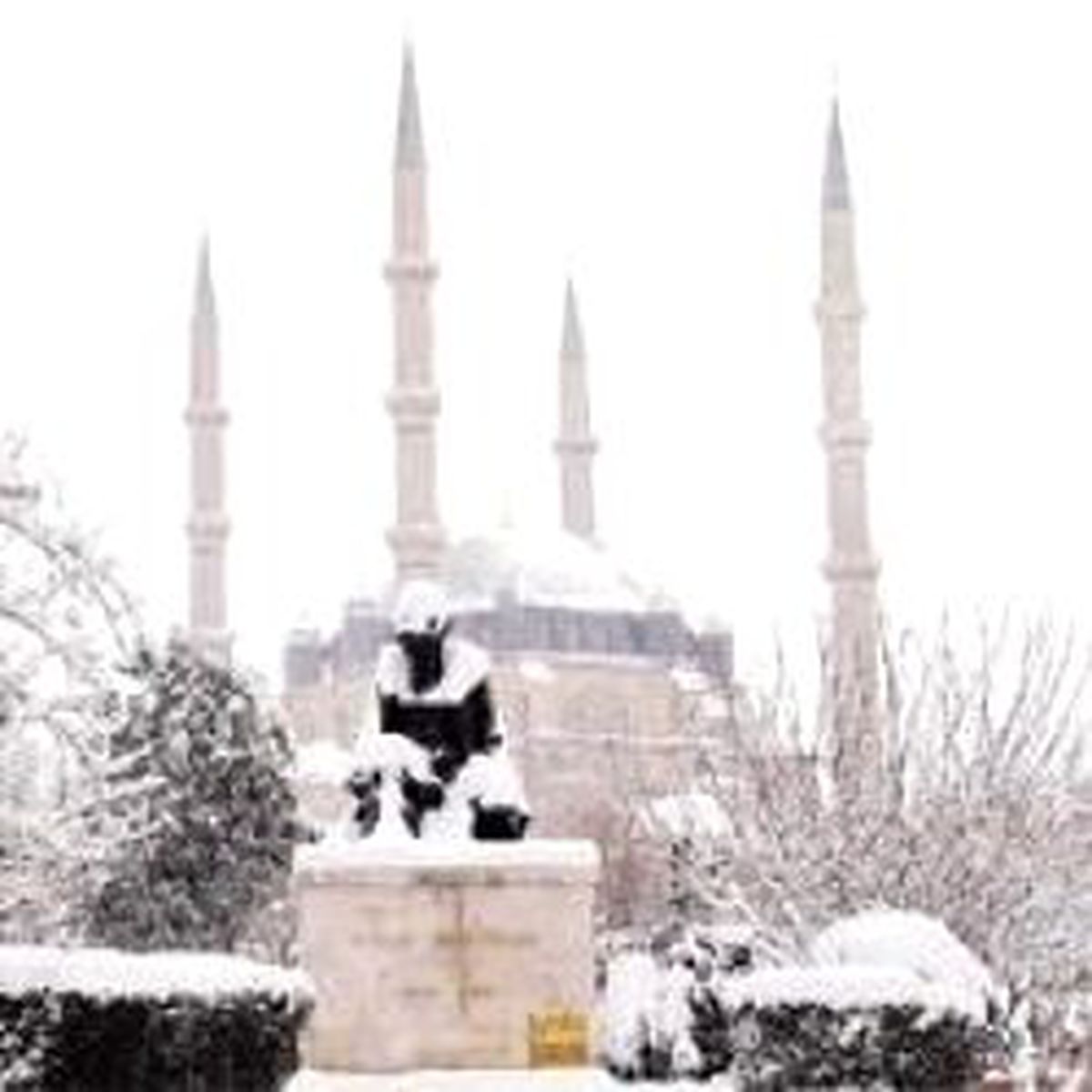 Doğu Çilesini Çekiyor Trakya Keyfini Sürüyor