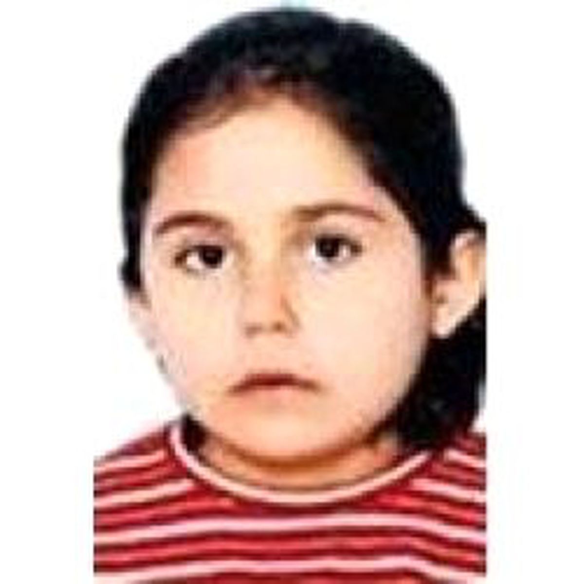 Bir Canın Bedeli 24 Taksitle 24 Bin Tl Para Cezası