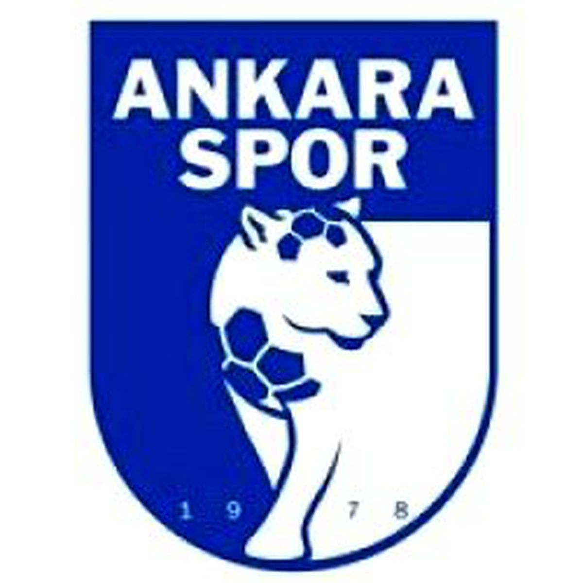 Ankaraspor'da 'Kardeş Kulüp' Sıkıntısı