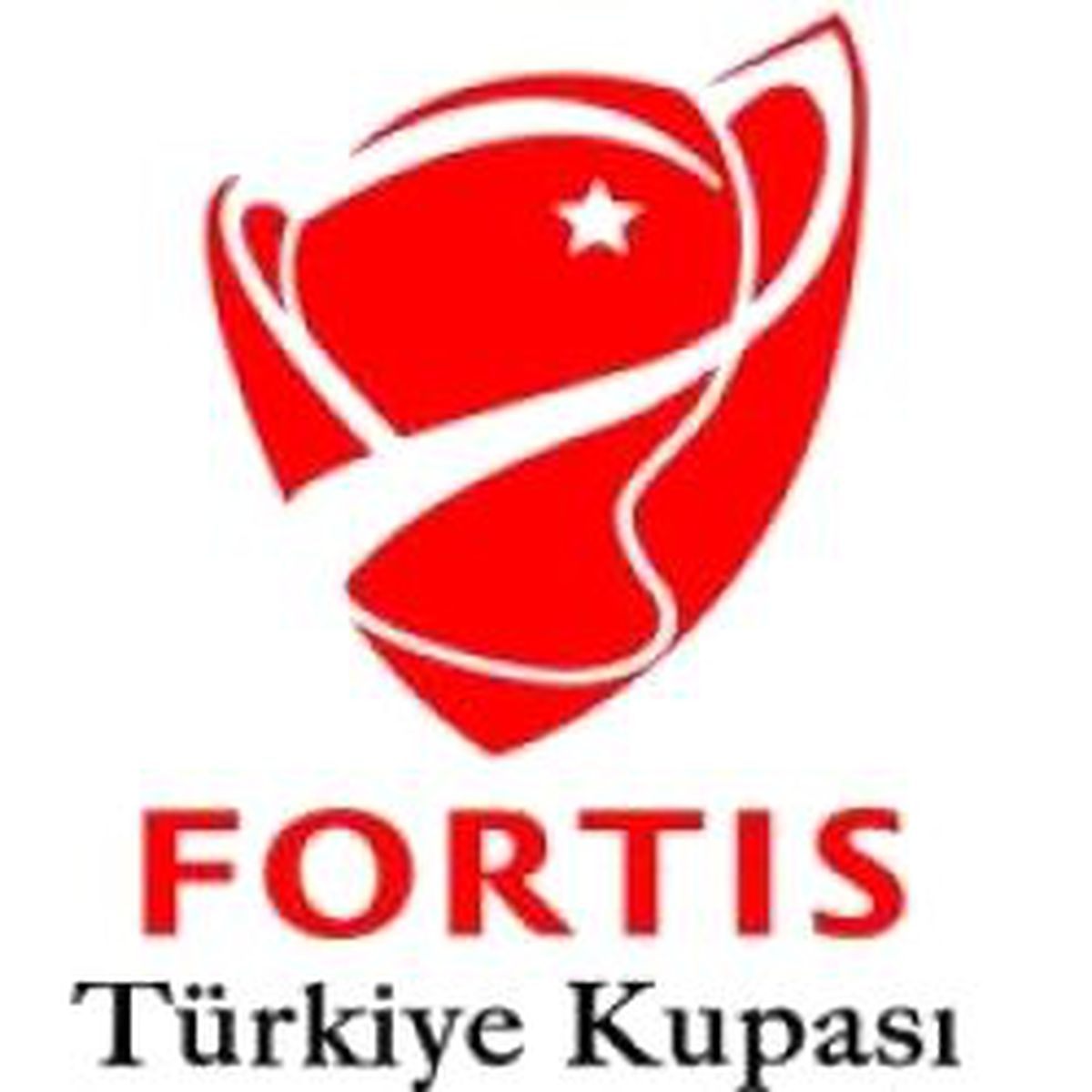 Türkiye Kupası Heyecanı Sürüyor