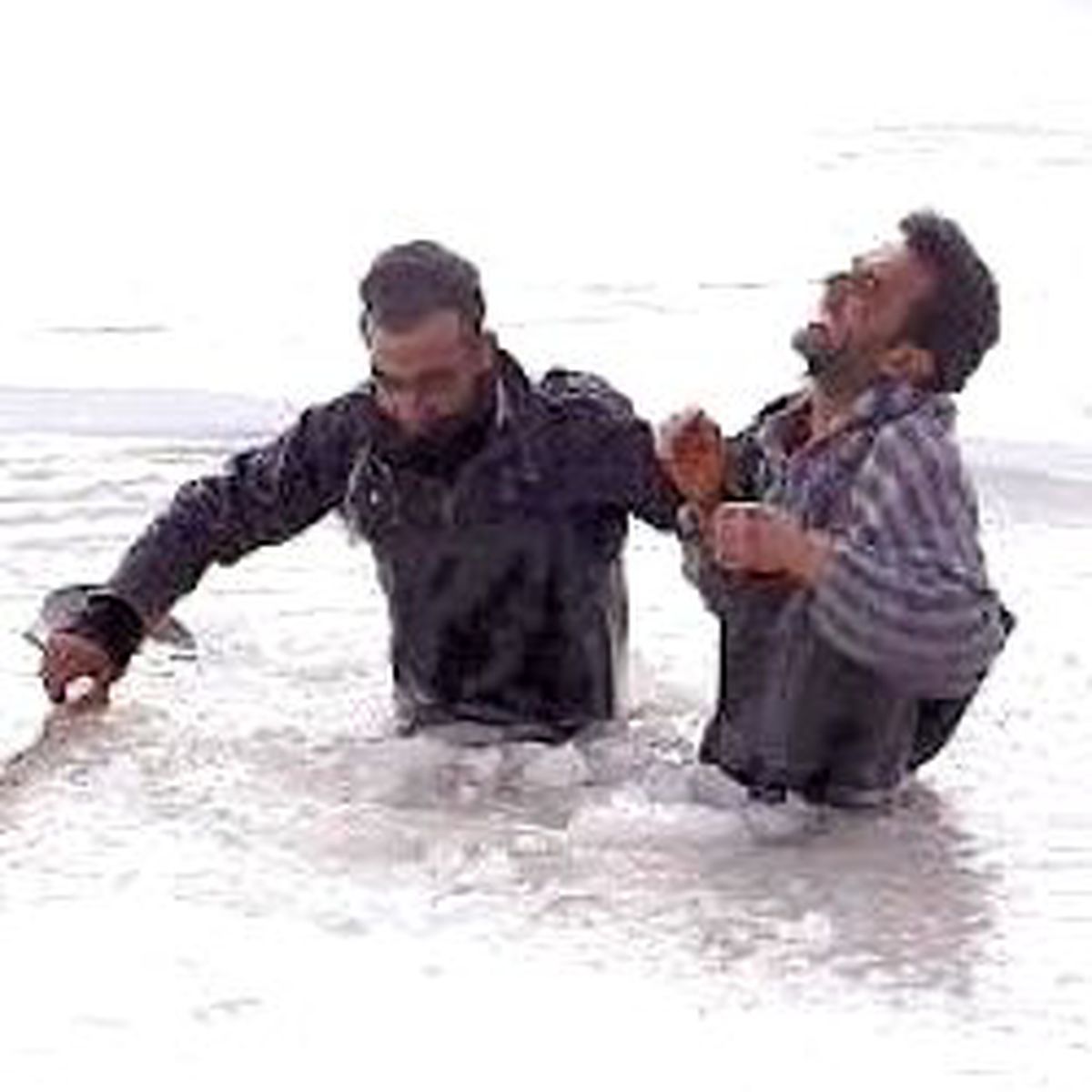Azap Balıkları