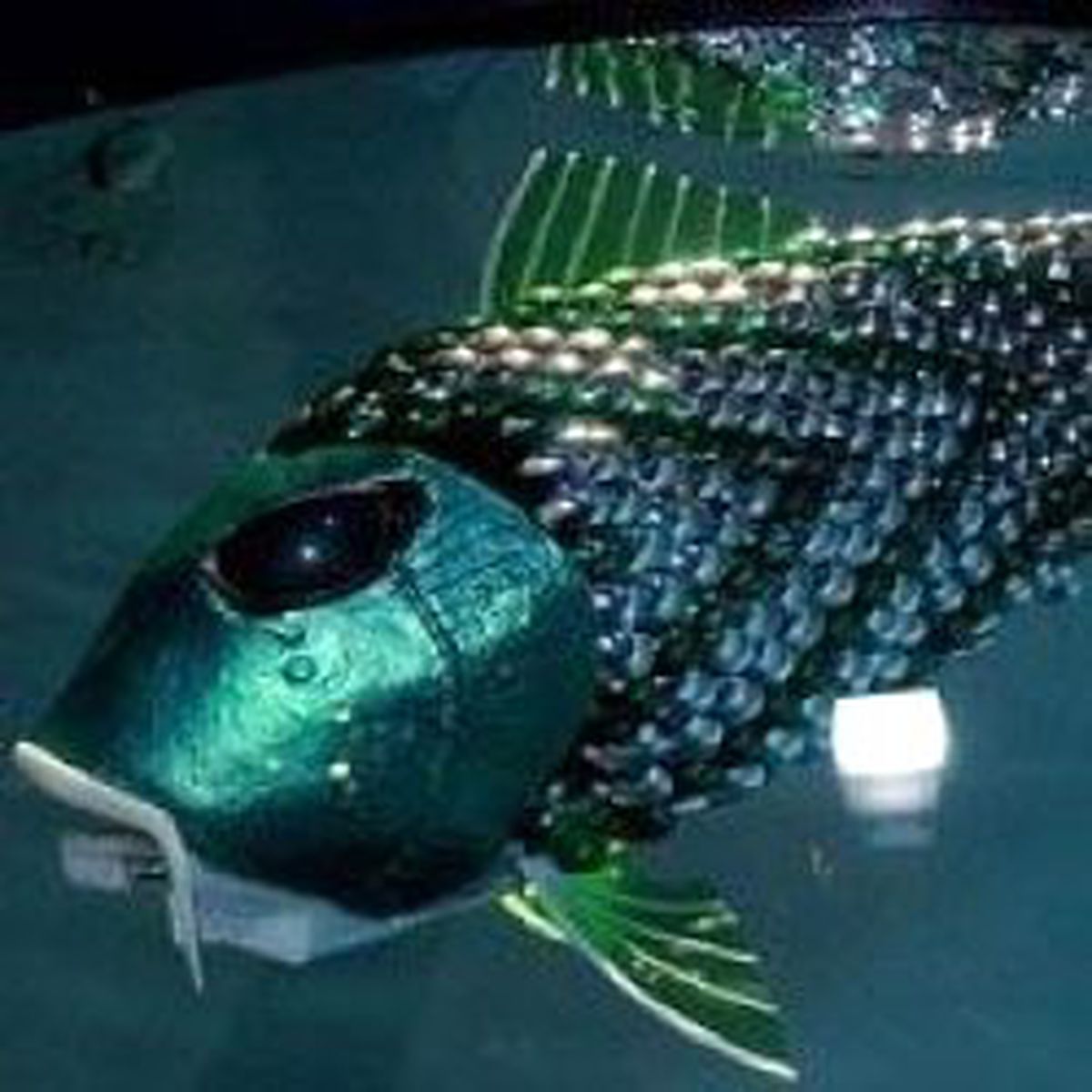 Denizlerde İlk Robot Balık