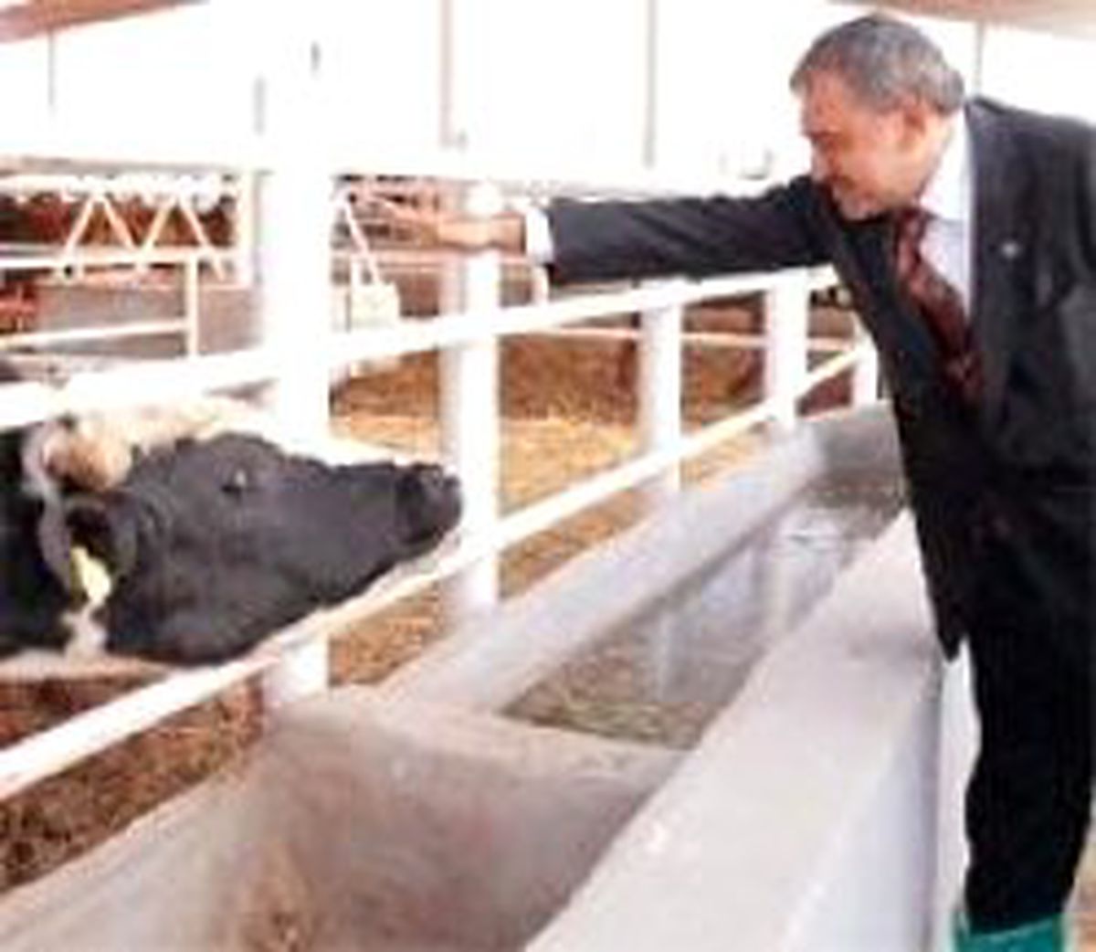 Ben Mandayı Gözünden Tanırım