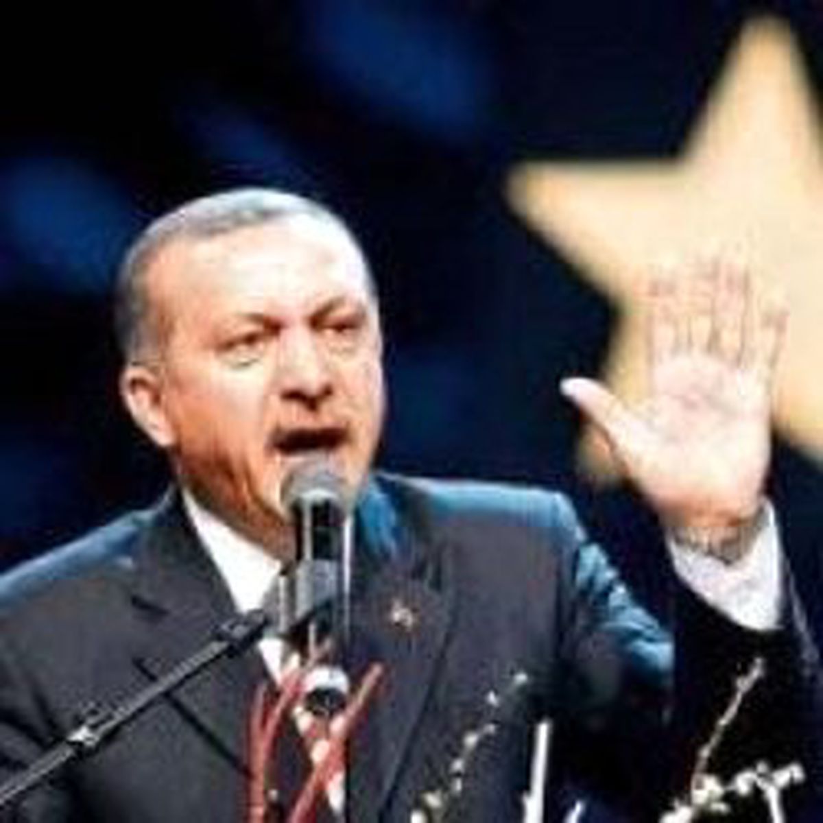 Erdoğan Almanya'yı Birleştirdi