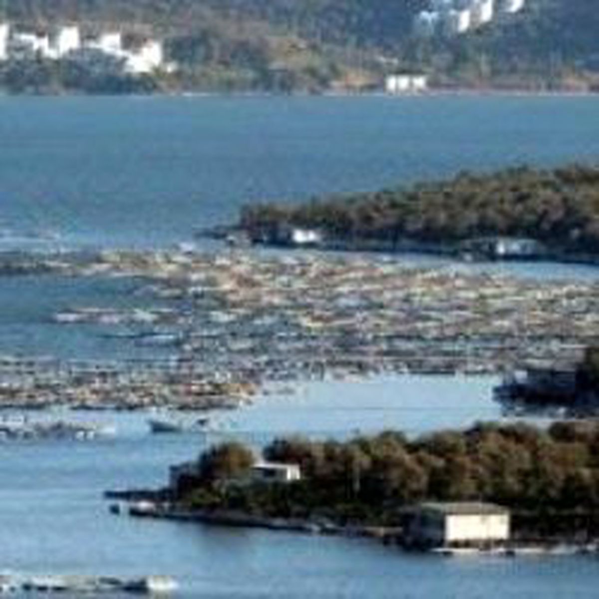 Balık Çiftlikleri Taşınıyor