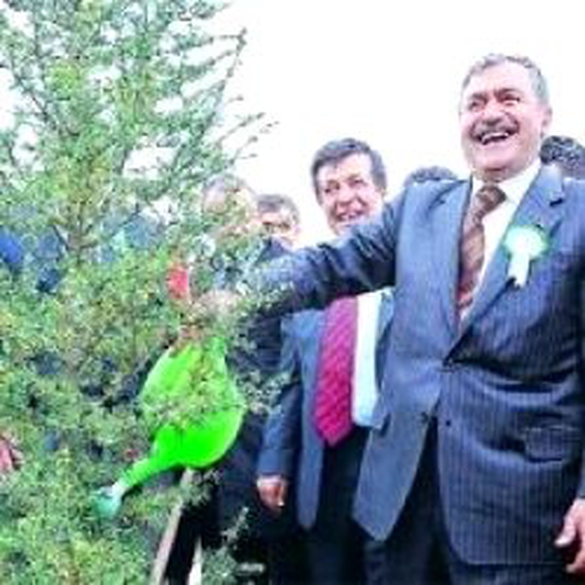 Bir Tatlı Bir Fidan