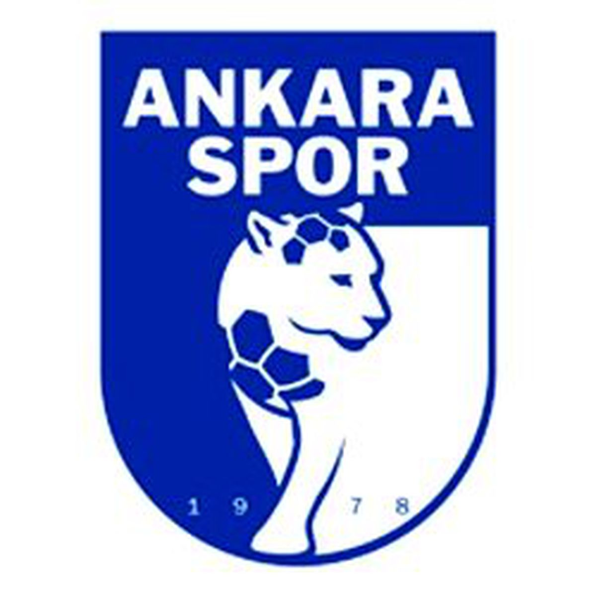 Ankaraspor'a Maliye Kıskacı