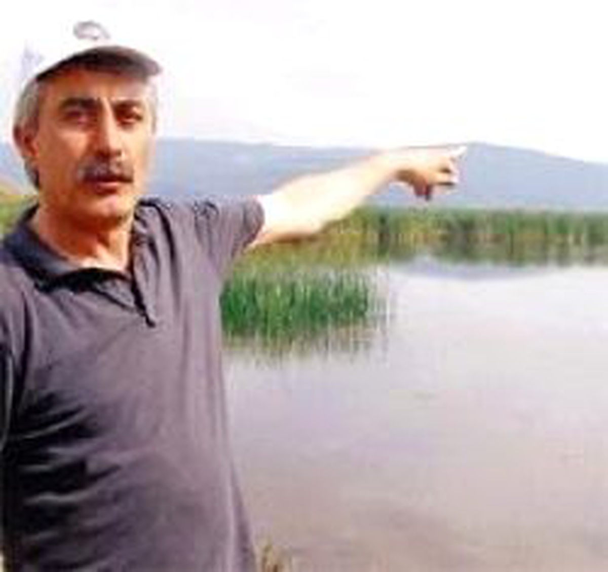 Yumurtlamaya Gelen Yılan Balıkları Zehirleniyor