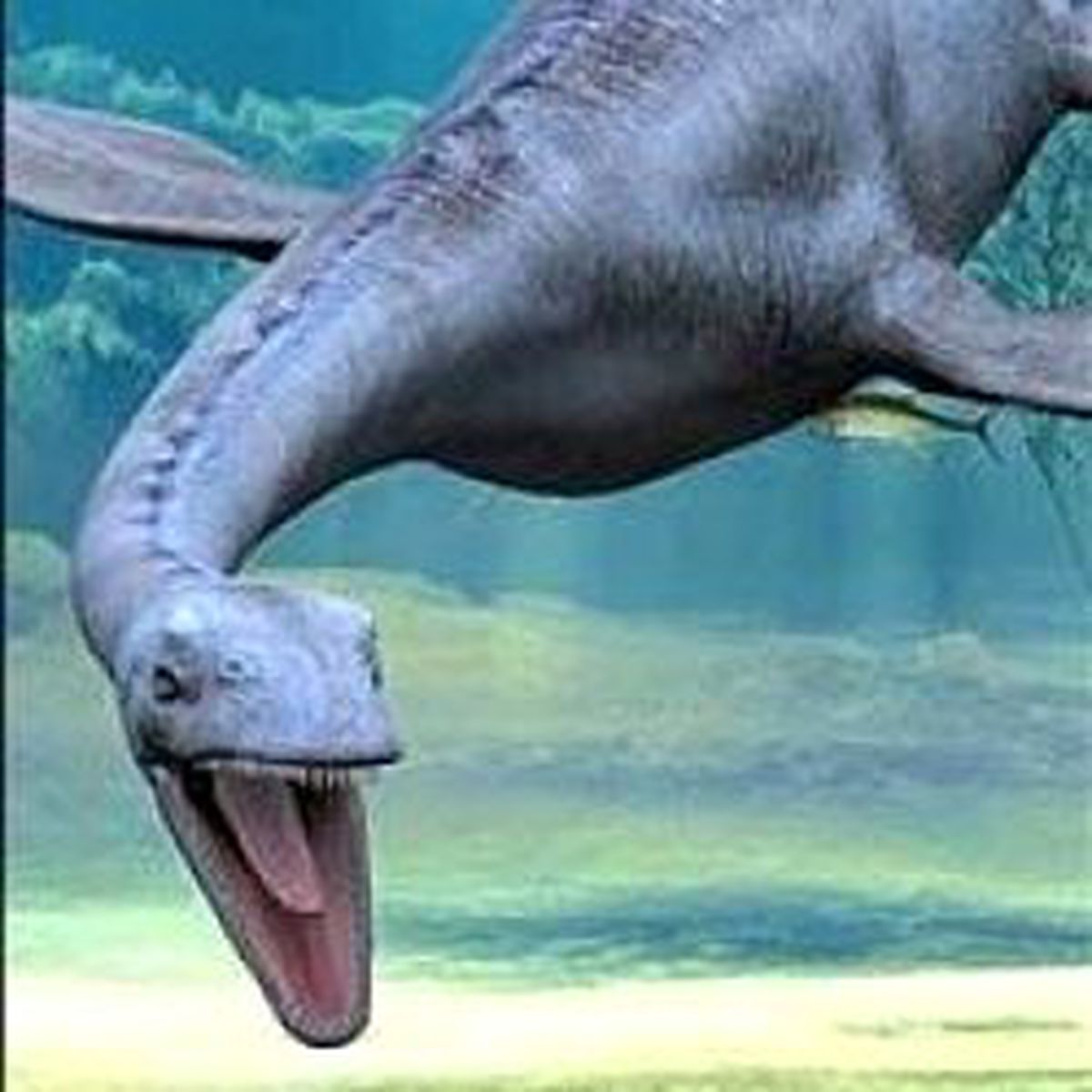 Efsanevi 'Loch Ness Canavarı' Bulundu