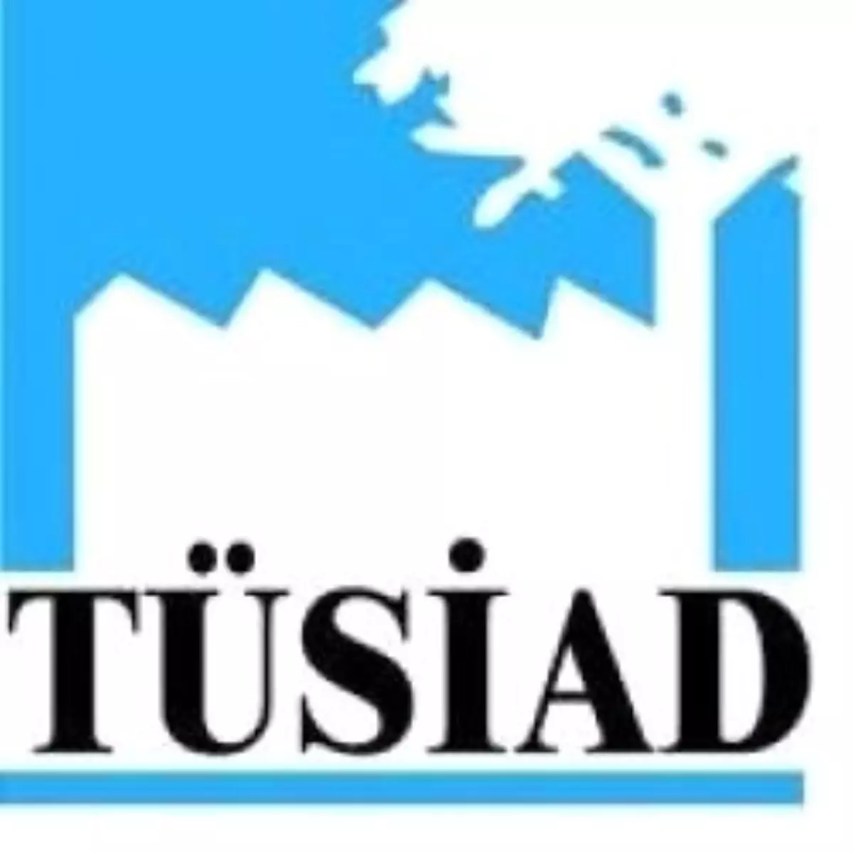 Tüsiad Yik Toplantısı Bodrum\'da Yapılacak