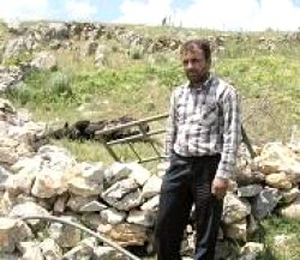 Kene İlacı 20 Hayvanı Telef Etti