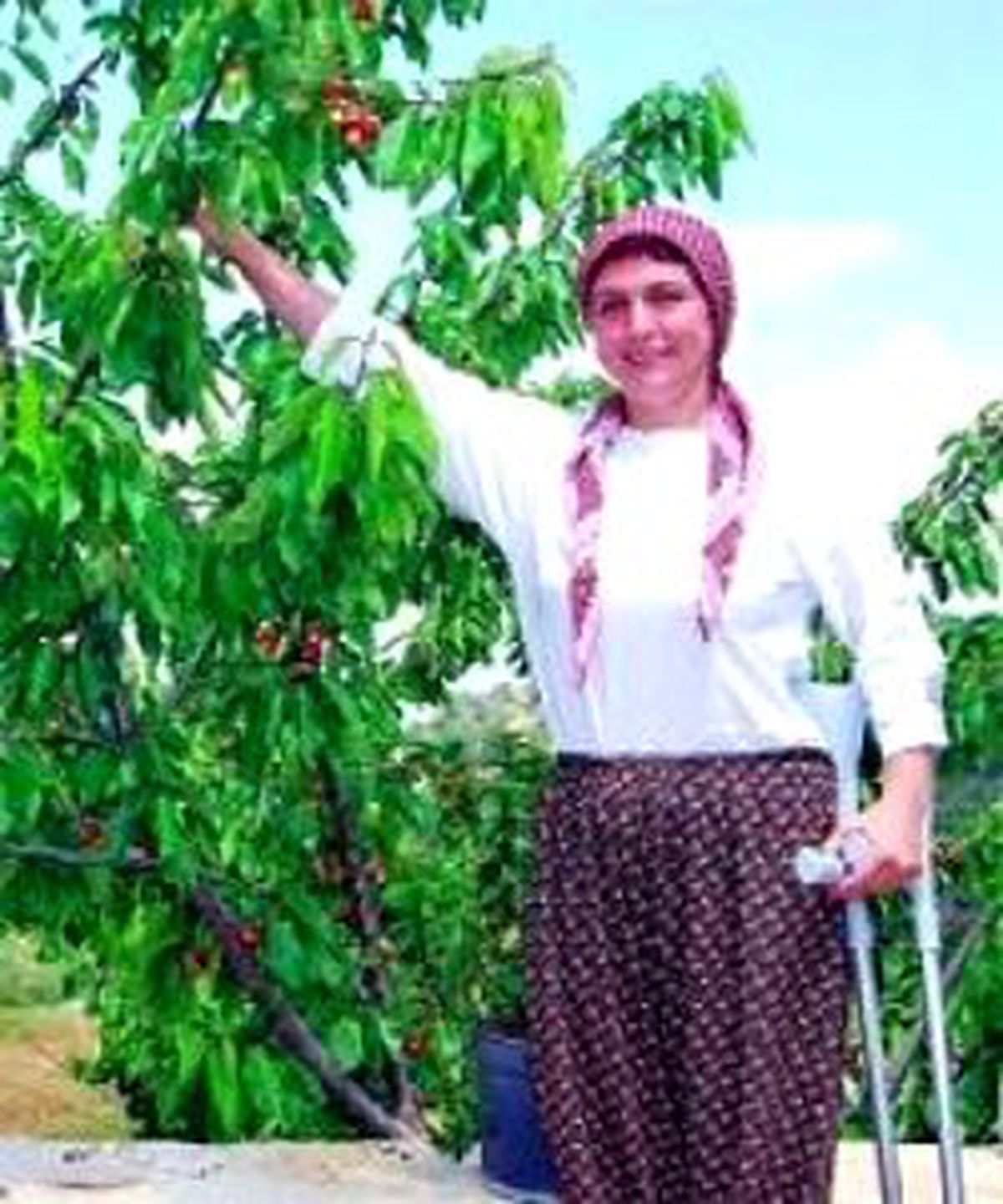 Yaşama Tutundu Sıra Hizmette