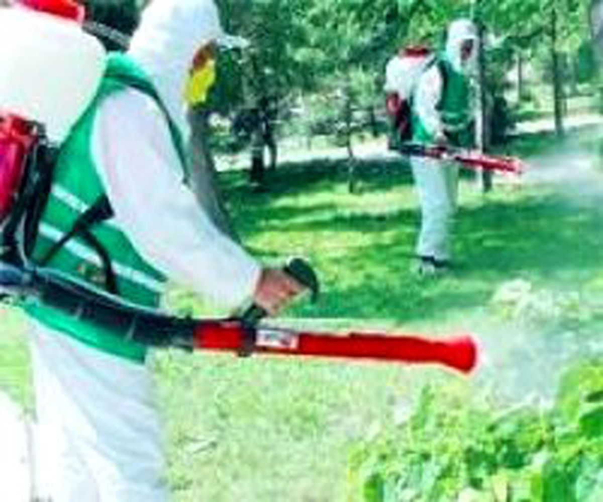 Keneye Karşı İlaç Dağıtımı