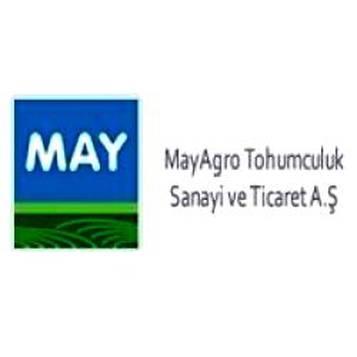 Ifc Tohumculuk Sektöründe İlk Krediyi Verdi