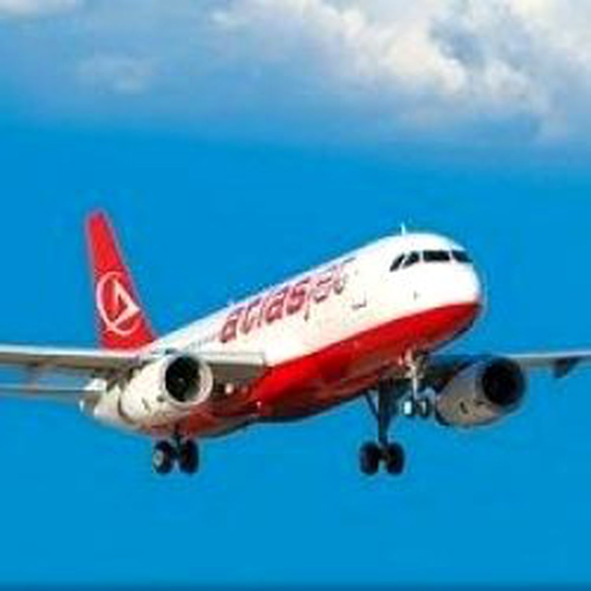 Millerle Milyonlarca Bedava Bilet Alındı
