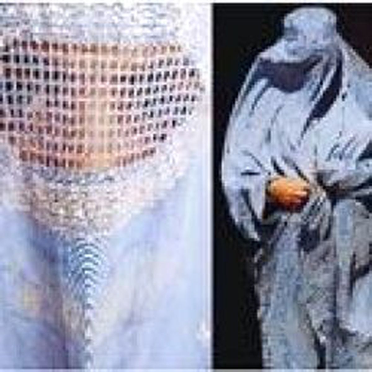 Burka Ülkemizde Hoş Karşılanamaz