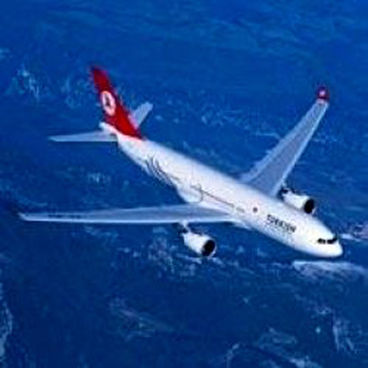 THY Uçağında Bomba İhbarı