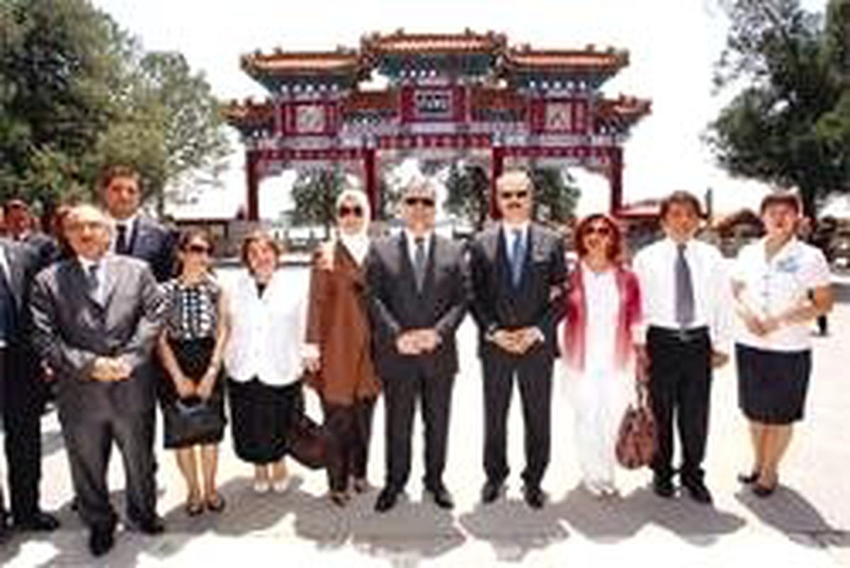 Gül, Çin'de İç Siyasete Girmedi