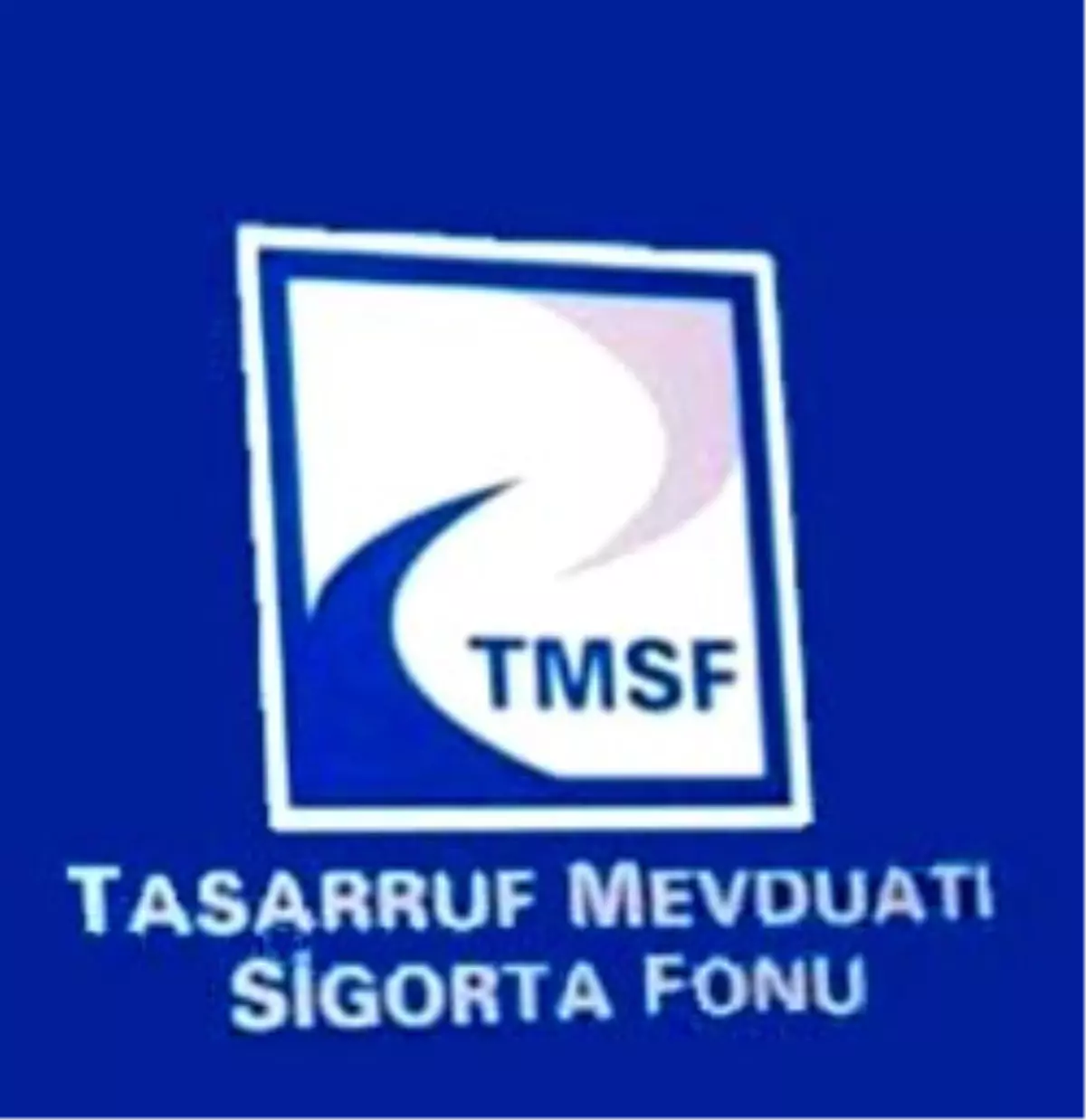 TMSF, Garipoğlu Şirketlerine Yönetici Atadı