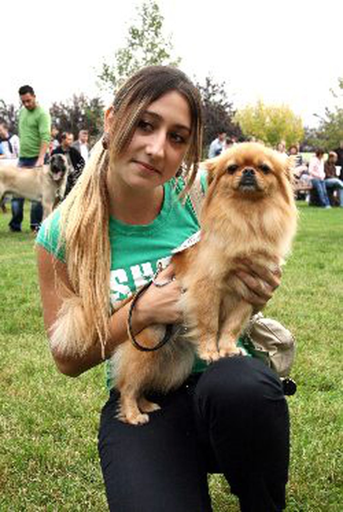 Çin'de 'Tek Köpek' Dönemi