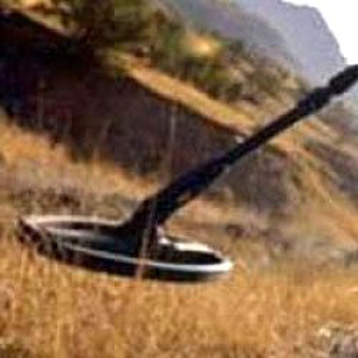 Namsa ile Görüşmeler İhale Görüşmesi Şeklinde Değil