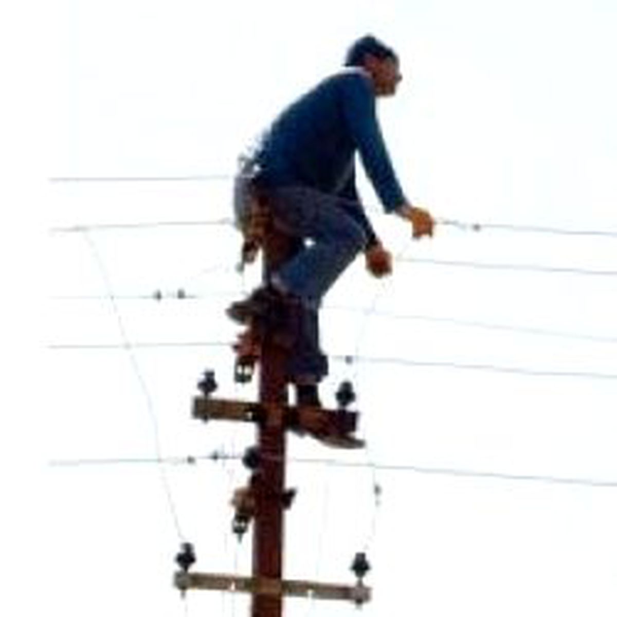 Korkudan Elektrik Direğine Tırmandı