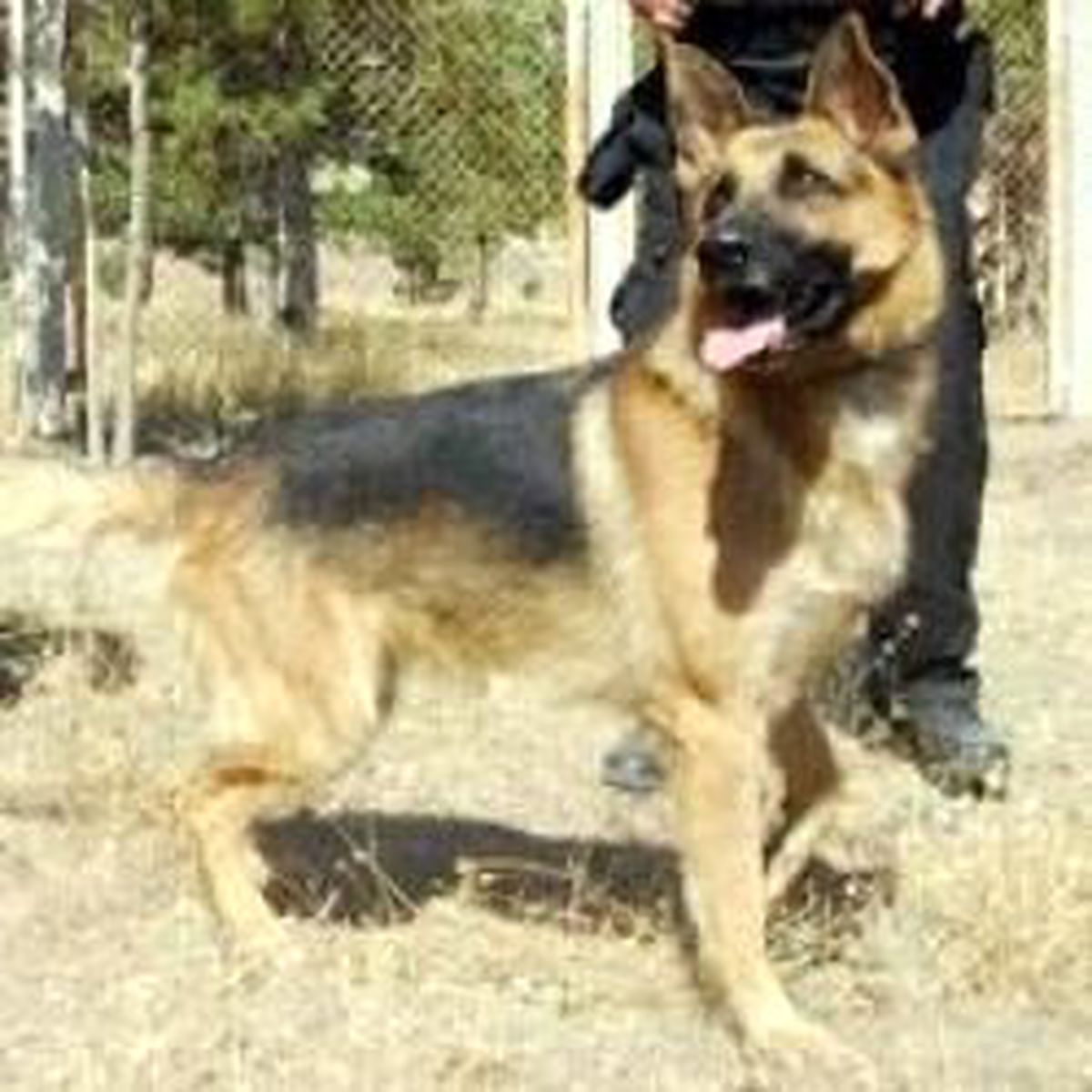 'Maske' Yaşıyor