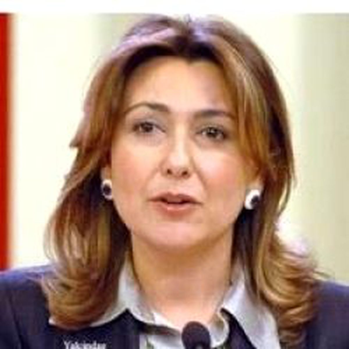 Tüsiad'dan Yargı Uyarısı
