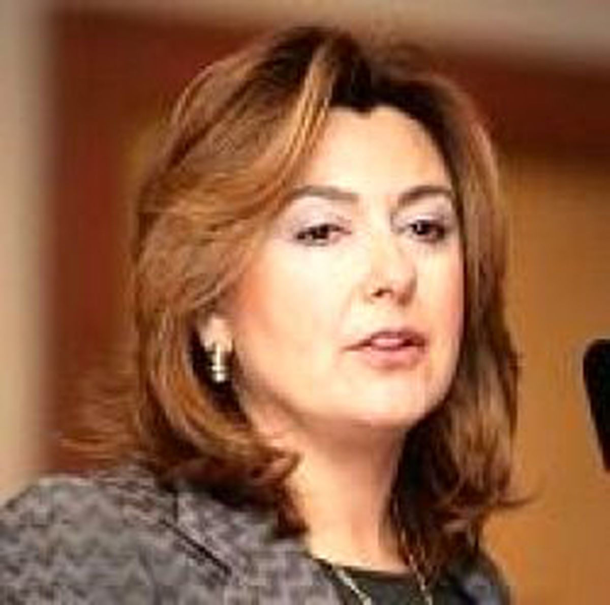 Tüsiad: Askere Sivil Yargı Aceleye Gelmesin