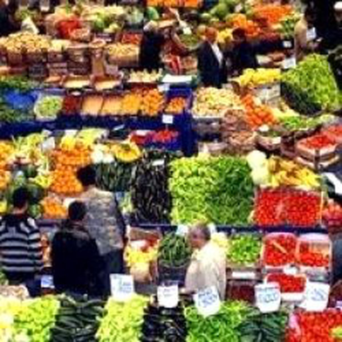 Fiyat Düşüşünü Yağmurlar Engelledi