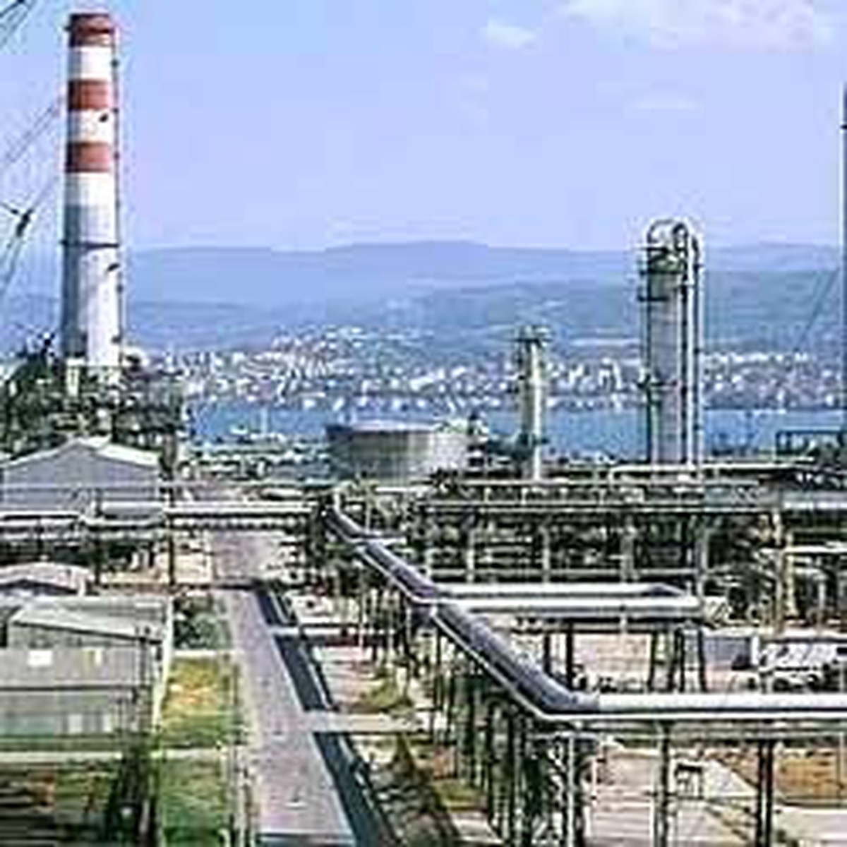Tüpraş 2008'in En Büyük Şirketi Oldu