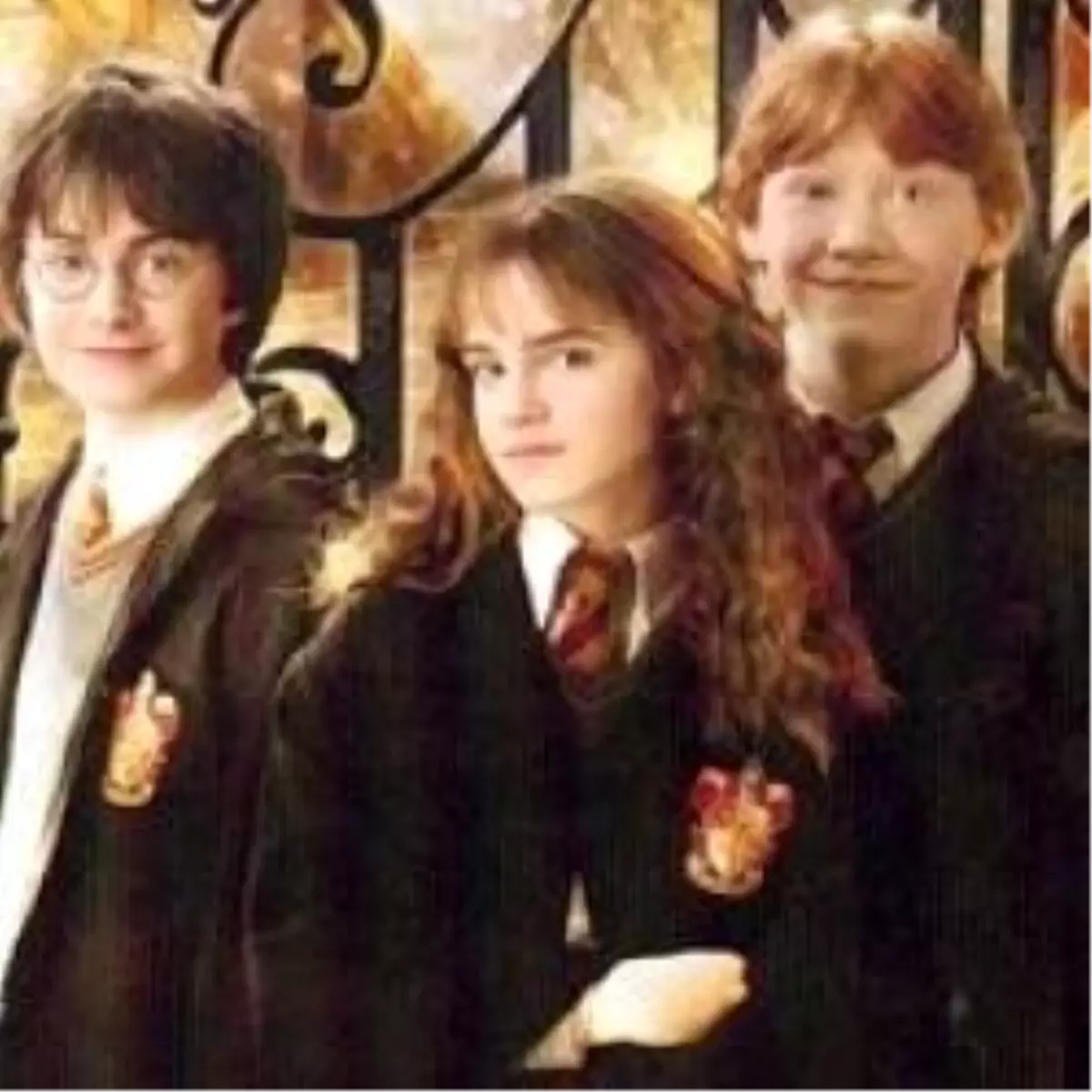 Harry Potter Ünlü Yönetmene Şans Getirdi