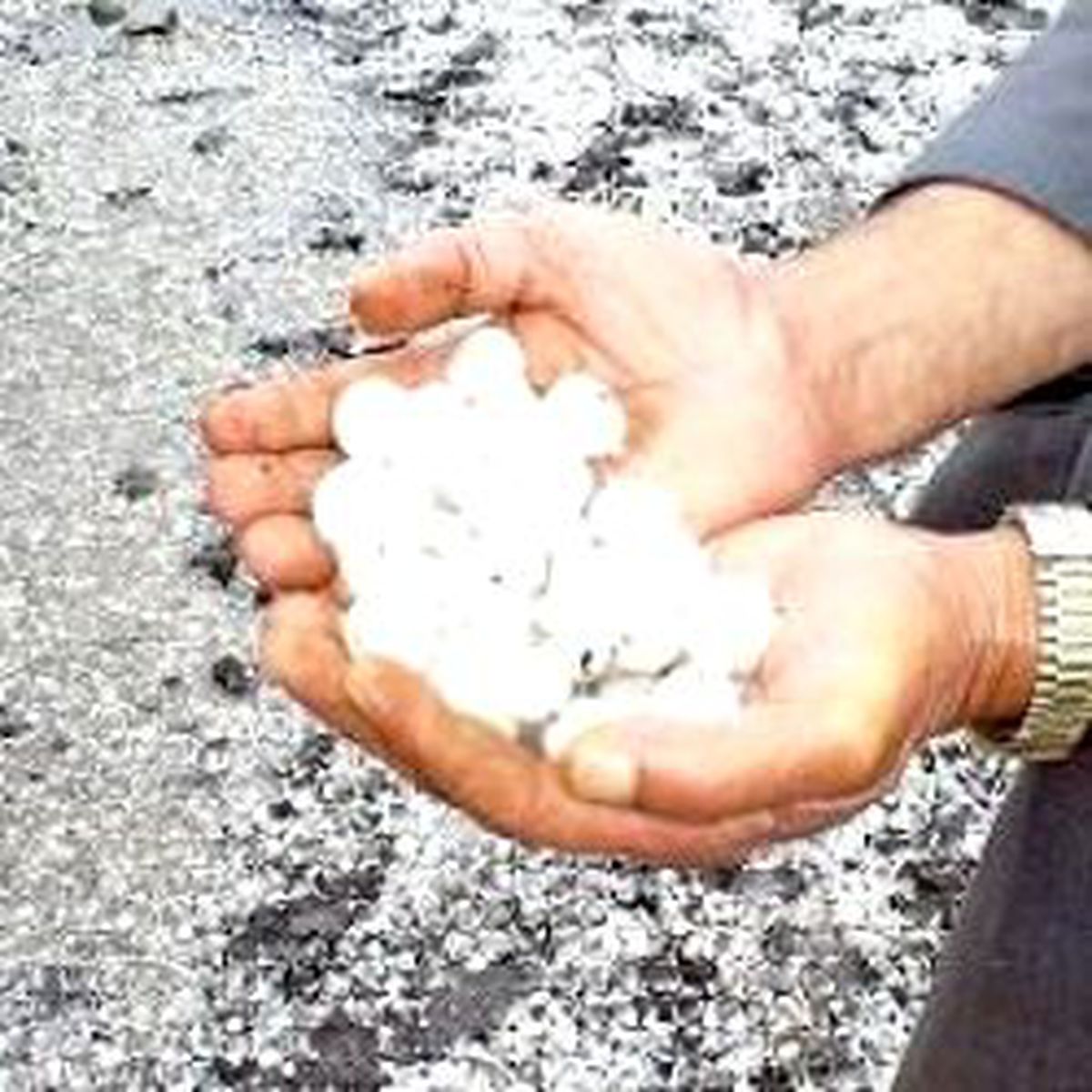 Tarım Arazilerini Dolu Vurdu, Sigorta Maliyeti 30 Milyon Tl Oldu